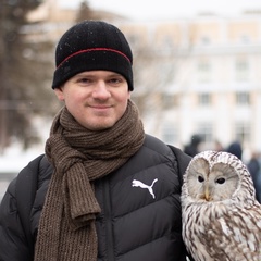 Павел Землянский, 36 лет, Москва