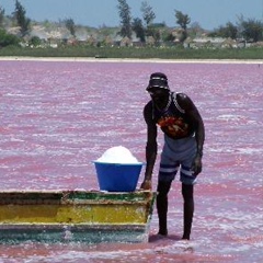 Олег Ба, Dakar