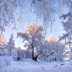 Амирова Зульфира, Оренбург