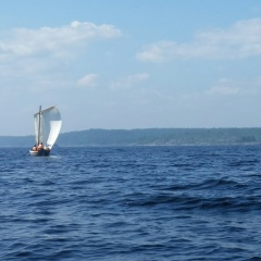 Александр Чижов, Санкт-Петербург