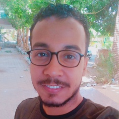 Mohamed Hamdy, 29 лет, Luxor