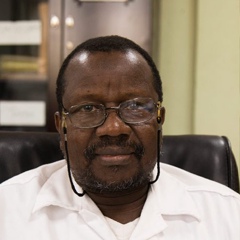 Luis Johnson, 55 лет, Bamako