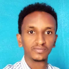 Bereket Lemma, 30 лет, Addis Ababa