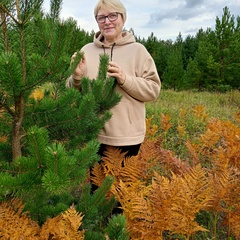 Надежда Елисеева, 56 лет, Катав-Ивановск