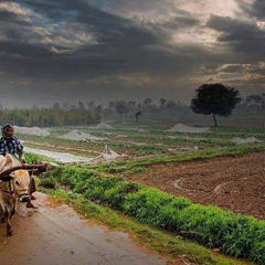 Adnan-Khan Khan, Lahore