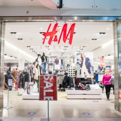 Hampm-Zara-Teranovva Italia, Milano