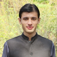 Nasrullah Shangla, 27 лет, Peshawar