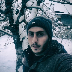 Arman Arsenyan