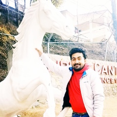 Sk Awan, 30 лет, Islamabad