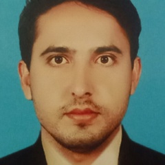 Sajjad Ahmed, 29 лет