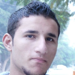 Mohamed Mahrous, 28 лет, Beni Suef