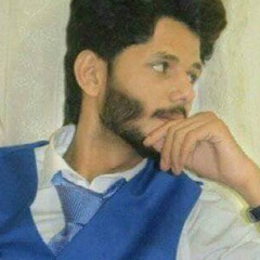 Panjtan Naqvi, 26 лет, Lahore