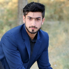 Abdul-Raziq Ahmady, 26 лет, Kabul