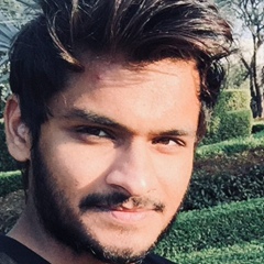 Ashutosh Mishra, 28 лет