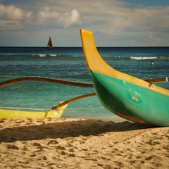 Саша Василевич, Haleiwa