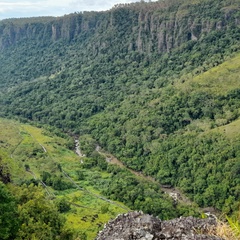 Heron Tribes, 34 года, Port Moresby