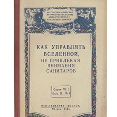 Наталья Таранко, 39 лет, Владивосток