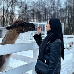 Анна Никонова, Москва