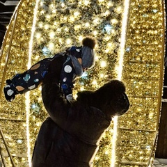 Валёк Кузнецова, Москва