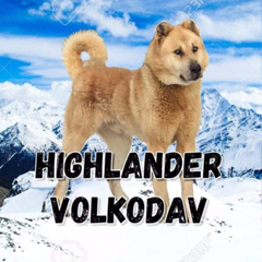 Highlander Volkodav, 25 лет