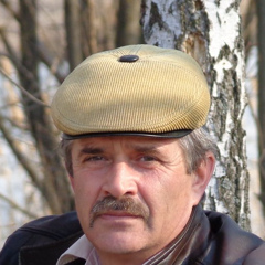 Виктор Лицуков, 61 год, Острогожск