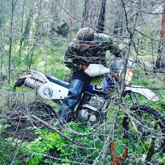 Даниил Амбросов, 25 лет, Верхнемарково