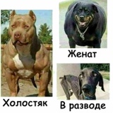 Иван Иванов, Минск