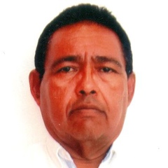 Ing-Joel Lopez-Priante, 55 лет, Tampico