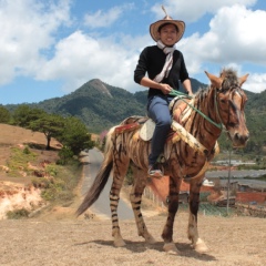 Tan Nguyen, Ho Chi Minh City