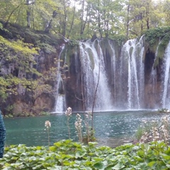 Алексей Николаевич, Pula