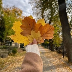 Фларида Марсельевна, 41 год, Москва