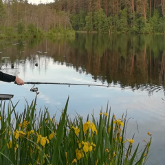 Оксана Неко, Санкт-Петербург