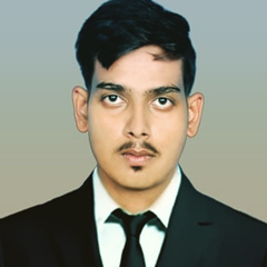 Shrey Mishra, 27 лет, Lucknow