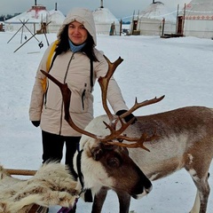 Екатерина Сорокина, 36 лет, Москва