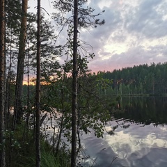 Юлия Зимарева, 49 лет