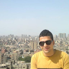 Mohamed El-Safty, 30 лет, Cairo