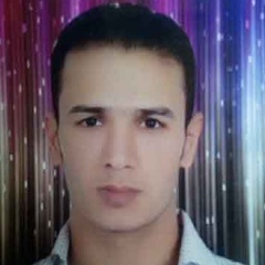 Javad Mirzaiy, 34 года, Mashhad