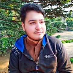 Tayyab Ali, 24 года, Lahore