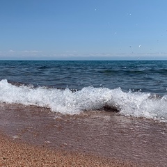 Арген Бейшекеев