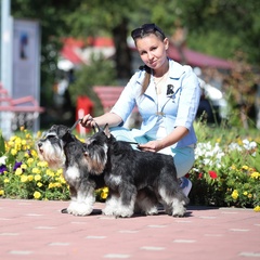 Анна Теребенина, Сургут