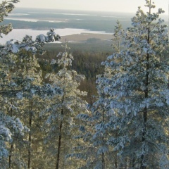 Олег Мороз, 34 года, Москва