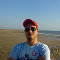 Mohamed Qasim, 39 лет, Cairo