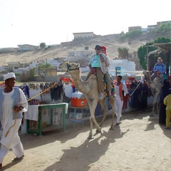 Mohamed Mousa, 36 лет, Aswan