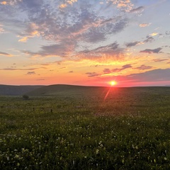 Николай Алексеевич, Санкт-Петербург