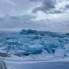 Амина Ахмет, Сургут