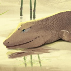 Tiktaalik Roseae, Brisbane