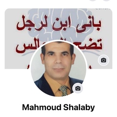 Mahmoud Shalaby, 55 лет