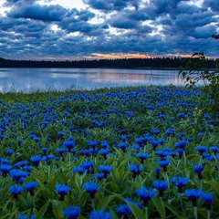 Юлия Карпович, 38 лет, Гродно