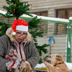 Светлана Герасимова, Санкт-Петербург