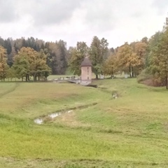 Ольга Лосикова, Санкт-Петербург